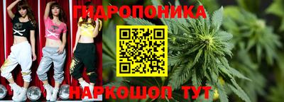 спайс Гусев