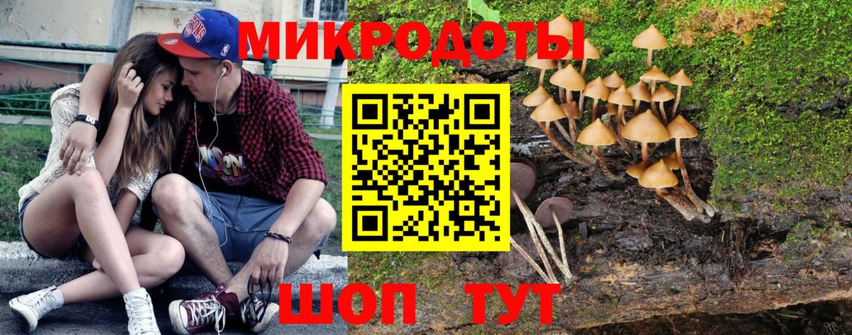 Галлюциногенные грибы Psilocybine cubensis Мичуринск