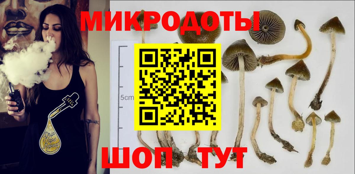 Мичуринск  Галлюциногенные грибы Magic Shrooms  хочу   Вход с VPN 